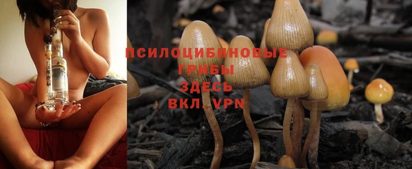 ALPHA PVP Алексин
