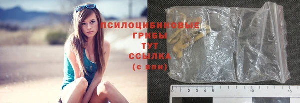 прущие грибы Алзамай