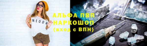 прущие грибы Алзамай